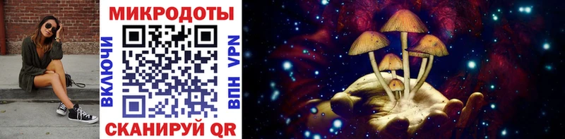 Галлюциногенные грибы GOLDEN TEACHER  Воронеж 