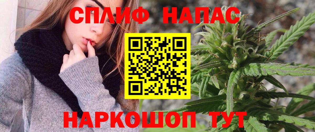 Бошки Шишки семена  Вход с VPN  Воронеж  Канабис THC 21% 